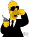 Homer Agent